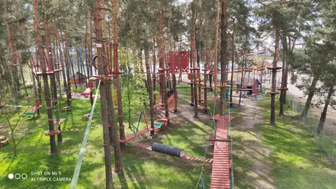Linolandia Kryspinów