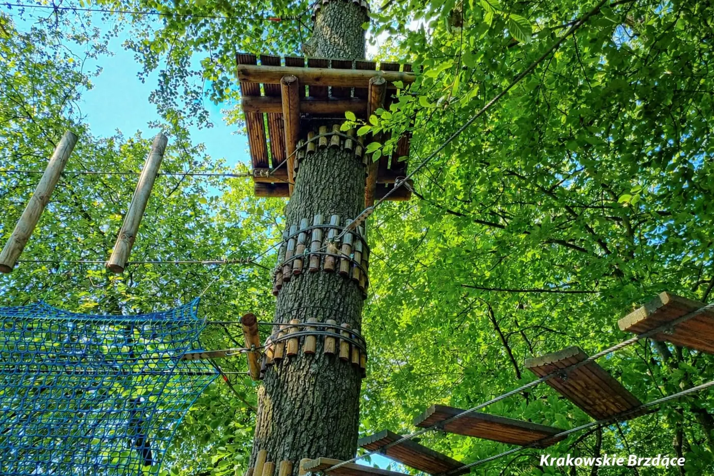 Krakowski Park Linowy