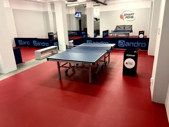 SmartPong Tenis Stołowy Ping Pong