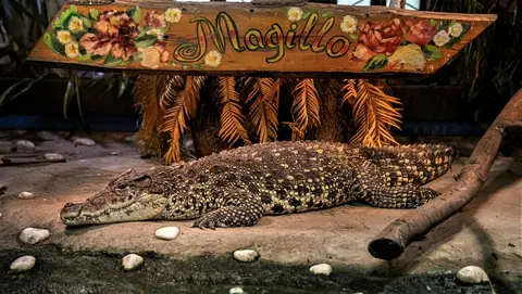 Magillo