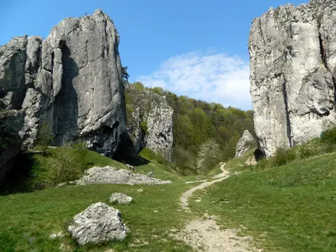 Dolina Bolechowicka